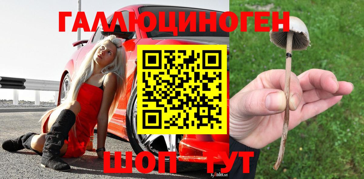 Галлюциногенные грибы Cubensis  Вход с VPN  Новочеркасск 