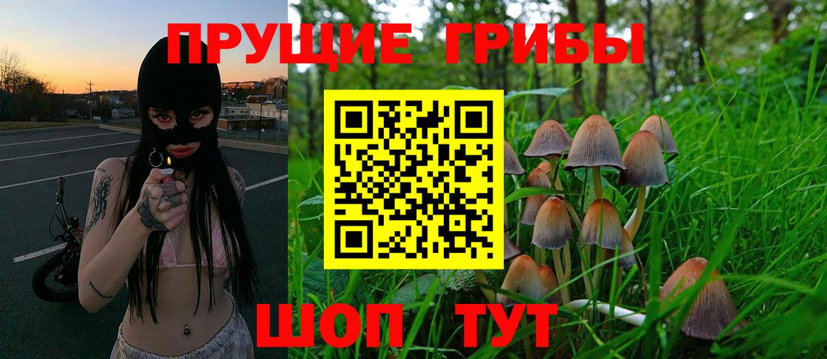 Псилоцибиновые грибы ЛСД Новочеркасск